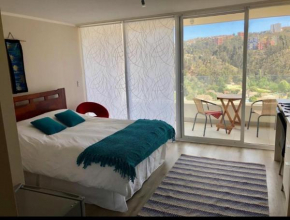 Lindo departamento Viña del mar